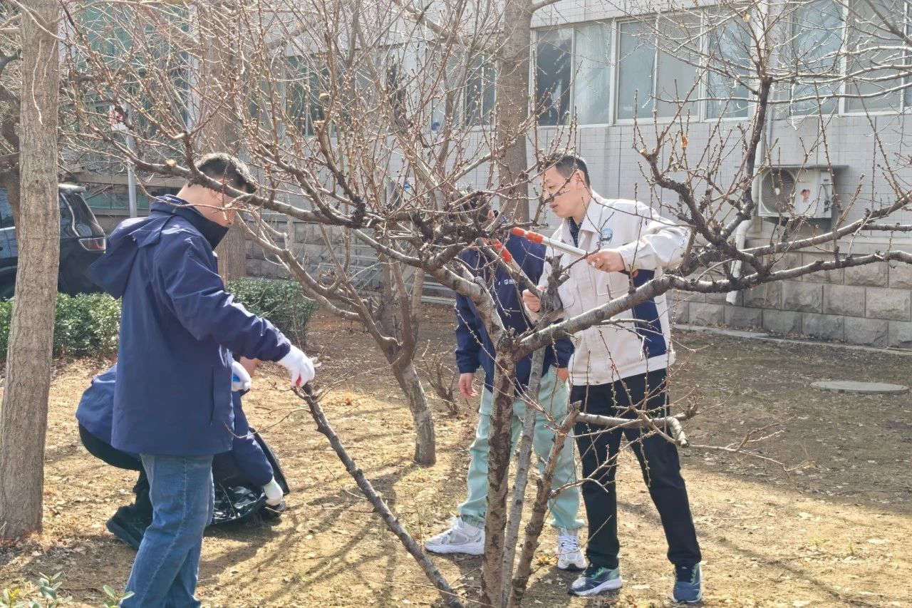 1741849597426229.jpg 微信圖片_20250313150539.jpg