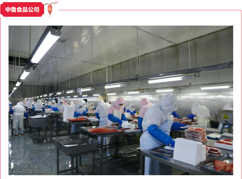 1767600459879268.png fbccd225-346a-448c-9106-b77892e2dd05.png