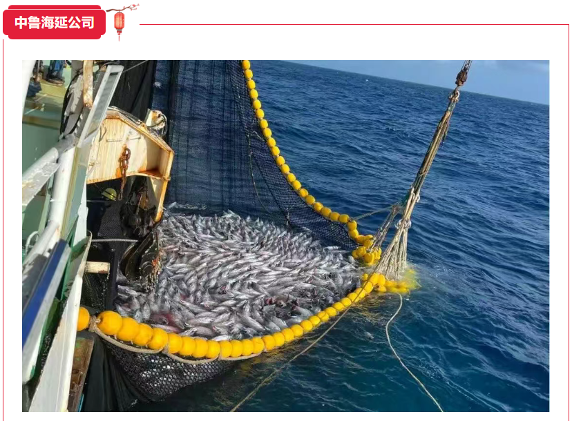 1767600527710755.png 4f1f0040-52d6-4750-8b77-f5f9ffd36a4a.png